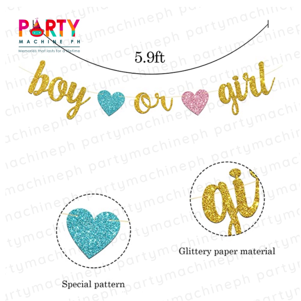 Gender Reveal Boy or Girl Banner / Gender Reveal Glittered Banner