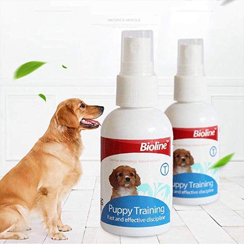 Dog pee hotsell spray attract