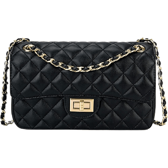 David Jones Paris Crossbody Shoulder SlingBag For Women For School 2023