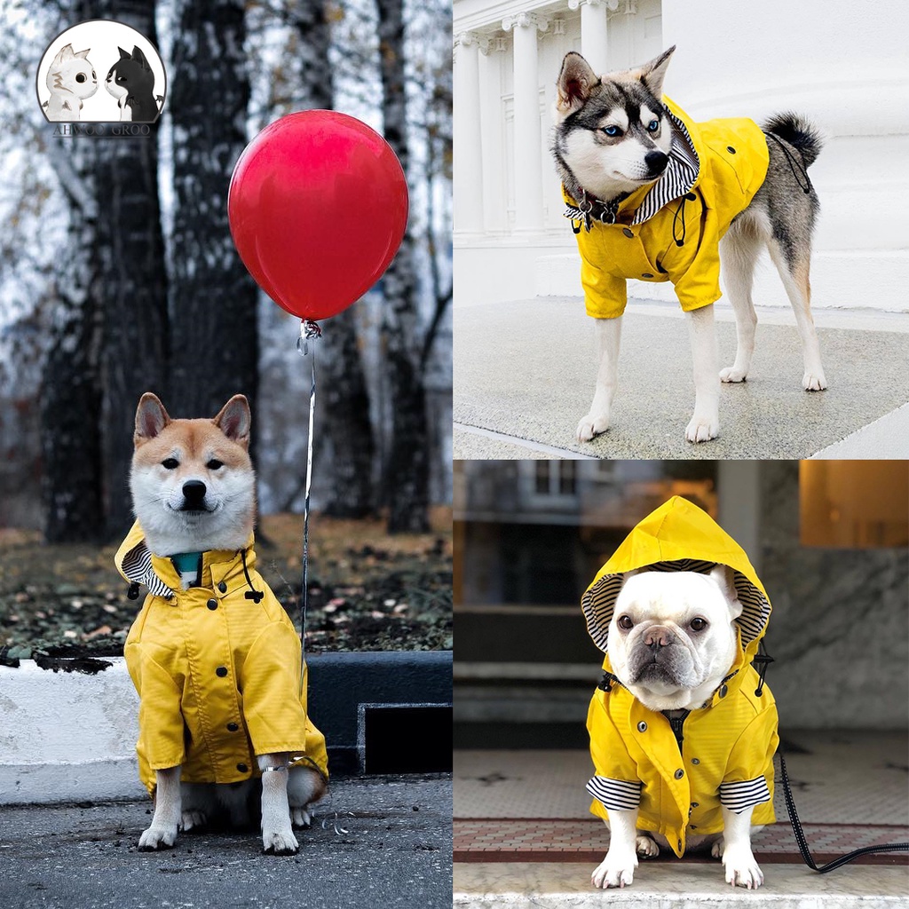 Dog store sport clothing