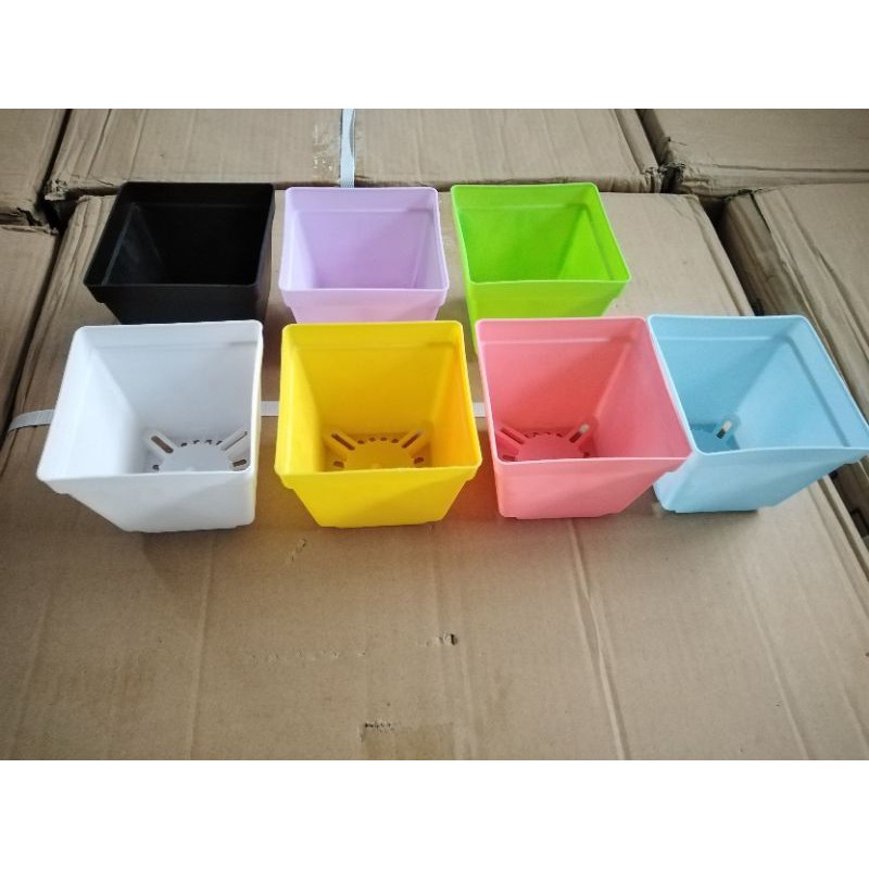 4 inches Plastic pots for cactus and Succulents Shopee Philippines