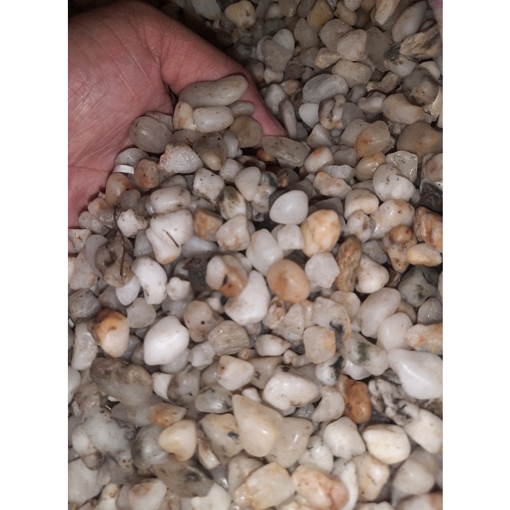 Aquarium stones outlet for sale