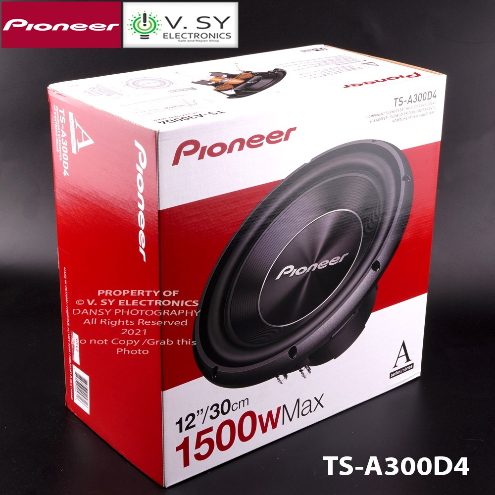 Pioneer 12in best sale