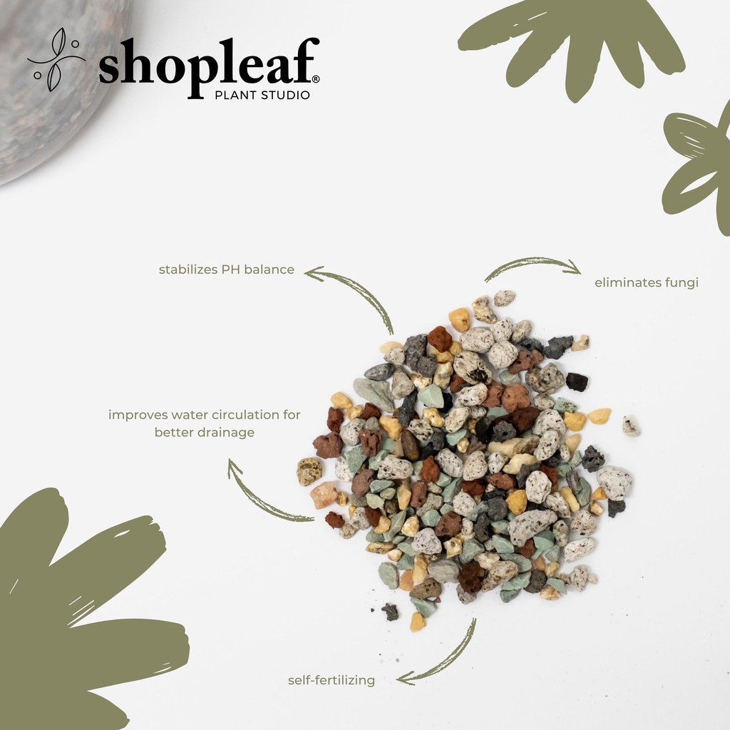 Shopleaf Rainbow Pon Substrate 7KG (Plant Potting Mix / Soil ...