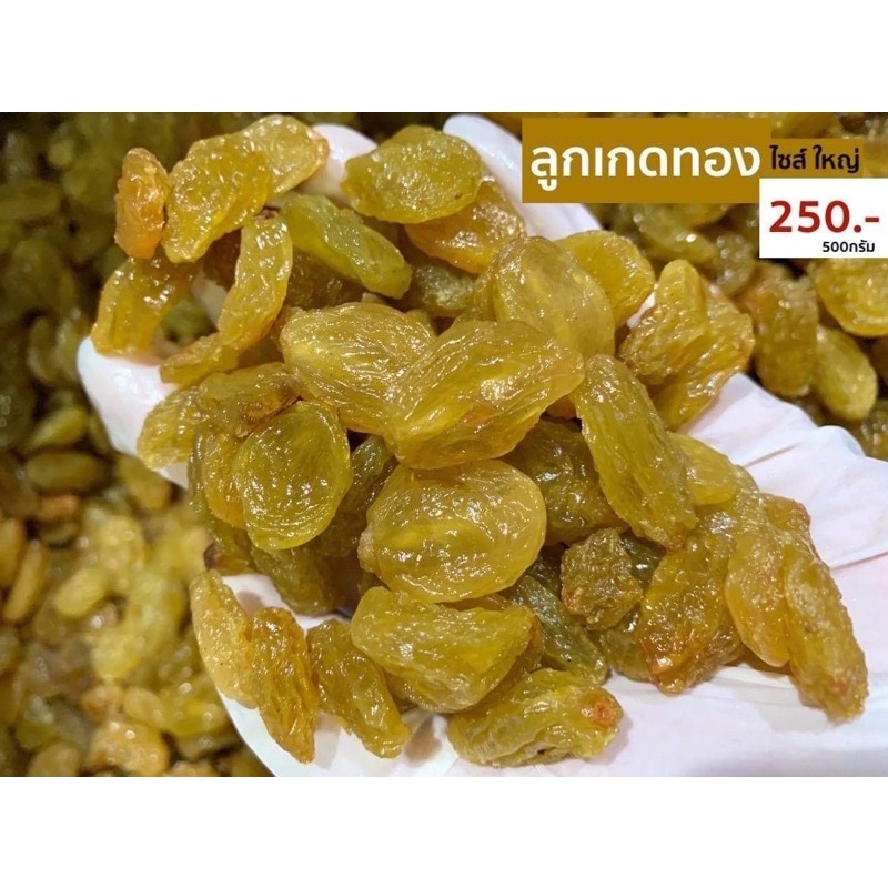 Golden Jumbo Raisin (500g) | Shopee Philippines