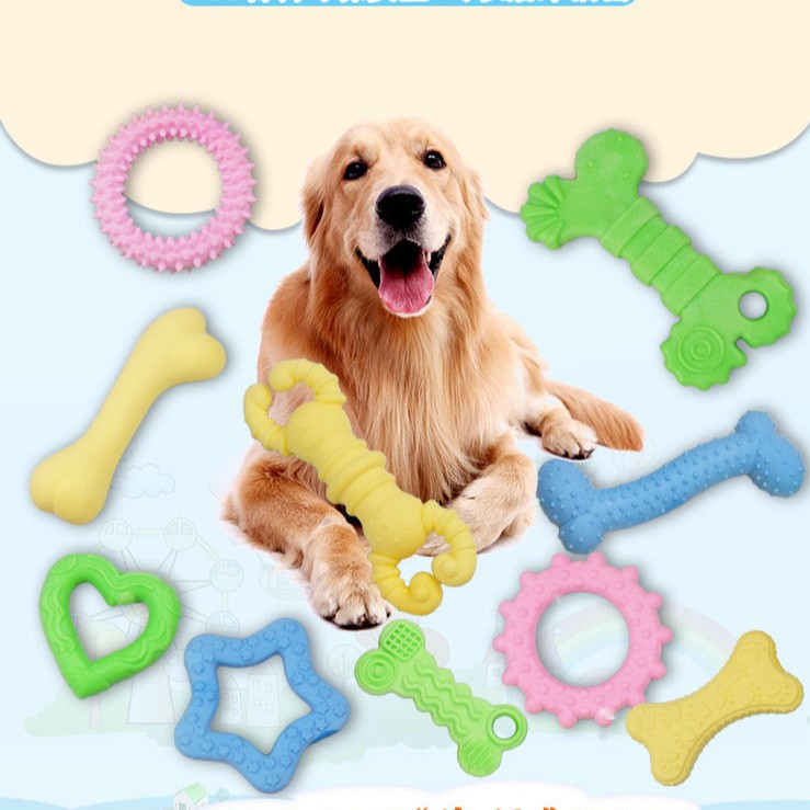 Puppy teether 2024