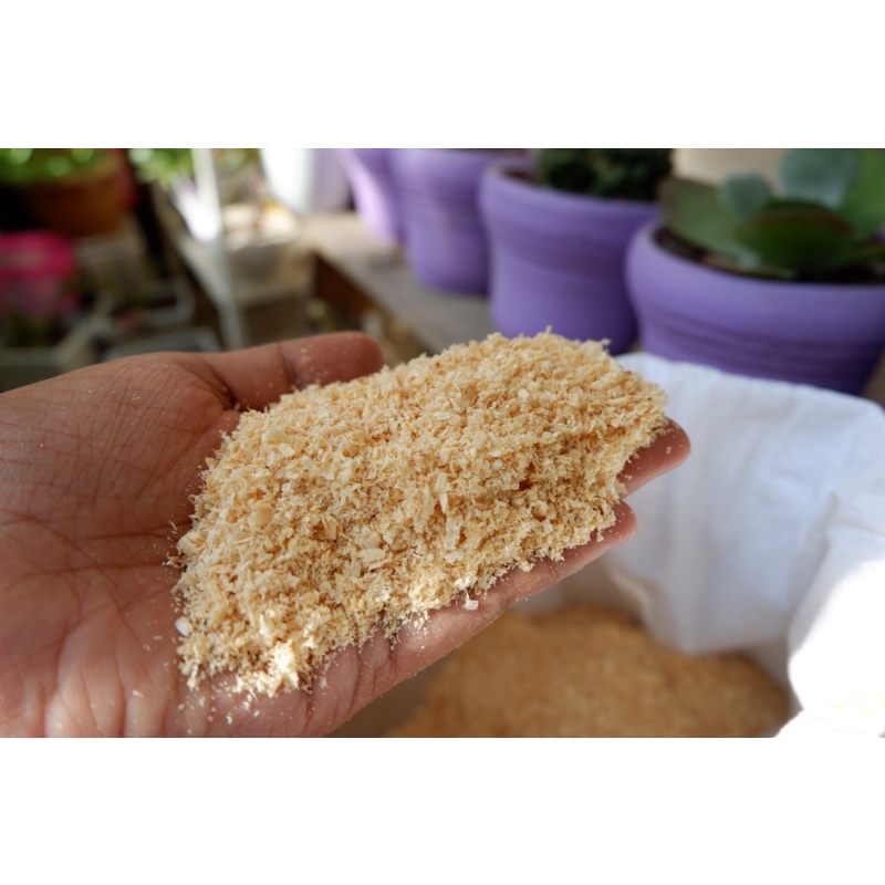 Organic Cat Litter Sand (Sawdust/Pino) Budget Pack Shopee Philippines