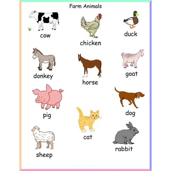 Animals : Educational Wall Chart & Kids Learning Materials - A4 ...