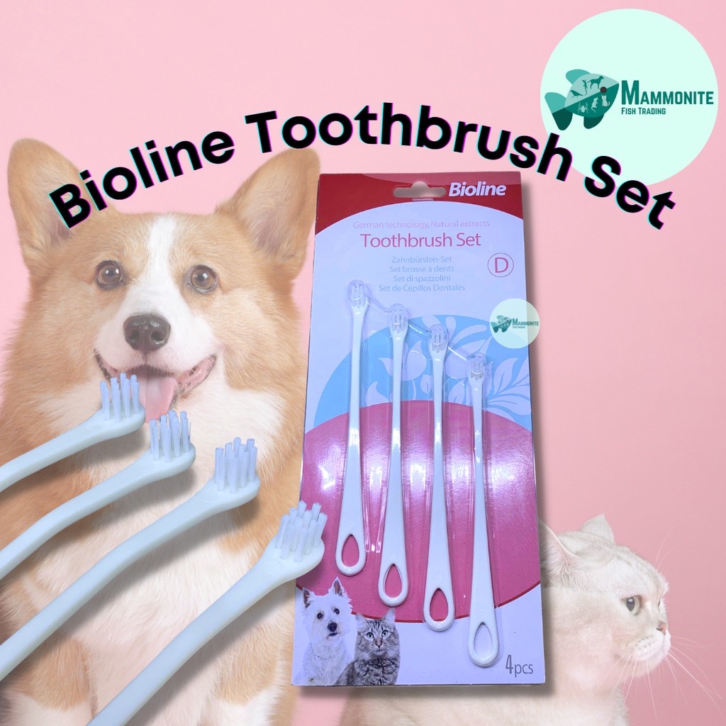 Bioline Toothbrush Set 4pcs For Cats and Small Dogs Improves Dental