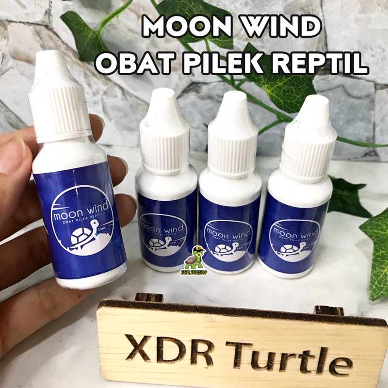 Moon WIND Reptile Cold Medicine TORTO Land Turtle SULCATA ISTAR ...