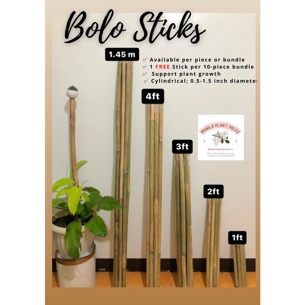 Plant Stick, Bolo Sticks, Plant Support, Plant Stick, Bamboo stick