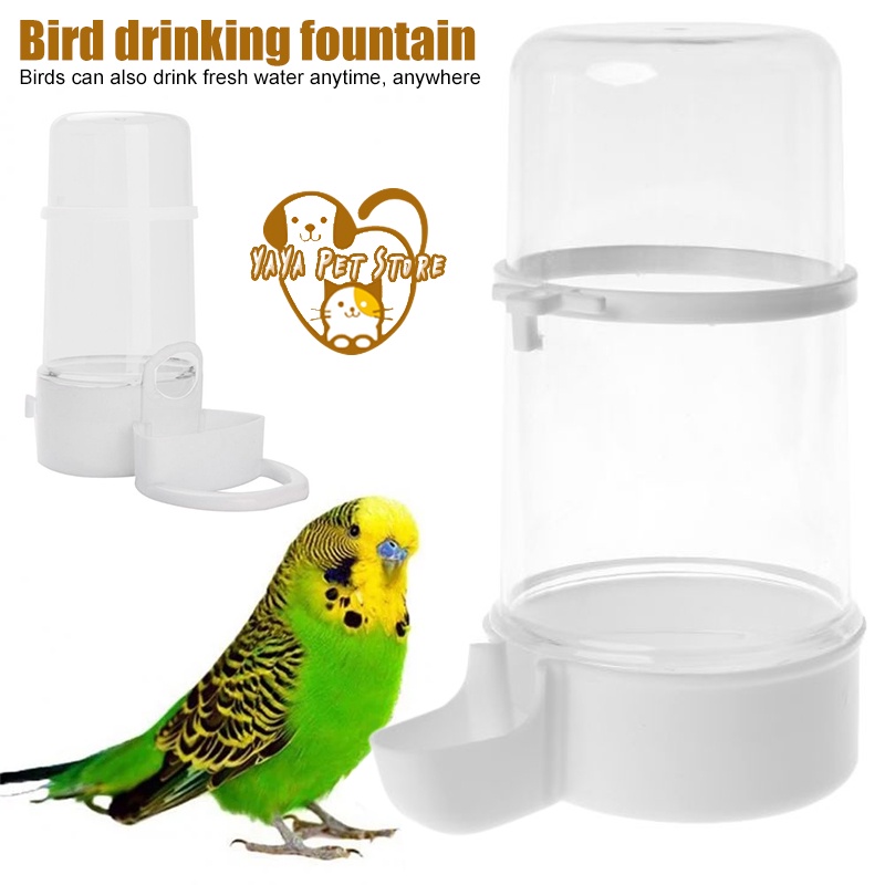 Image showcasing Bird Drinker Cage Automatic Feeder Hamster | Shopee Philippines