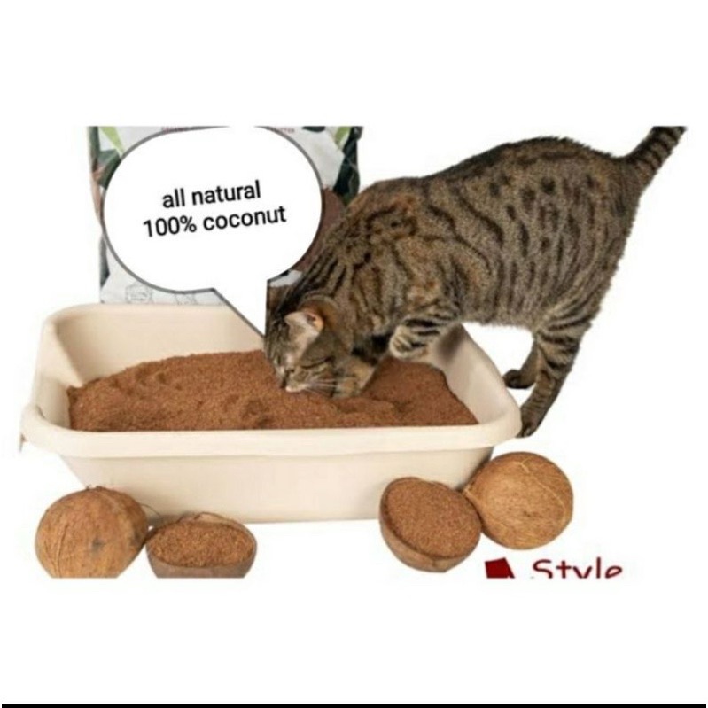 10L wood Cat litter sand with activated charcoal alternative bentonite