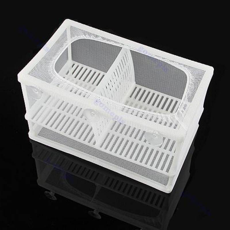 &2 Size Plastic Aquarium Fish Breeding Net Box Hanging Betta Fish ...