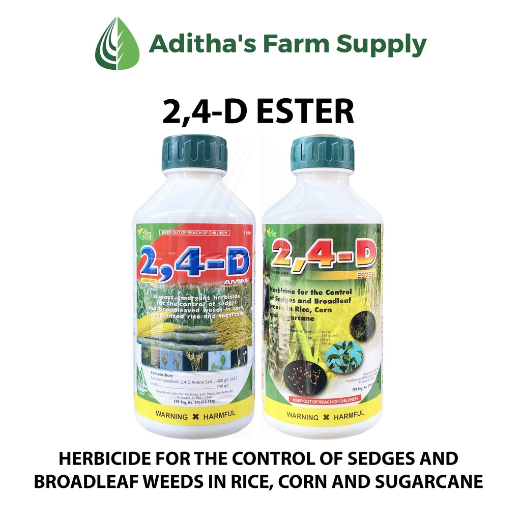 2,4-D Ester and Amine ICTC (Herbicide for the Control of Sedges and ...