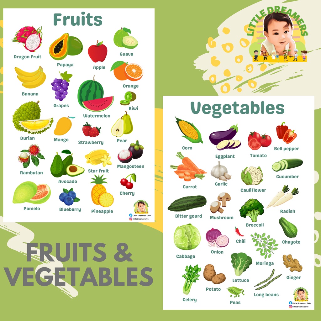 LITTLE DREAMERS DVO- A4 Laminated Educational Chart | FRUITS ...