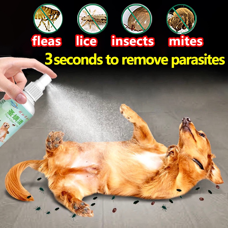 tick and flea spray100ml cat lice remover Dog spray for ticks and fleas