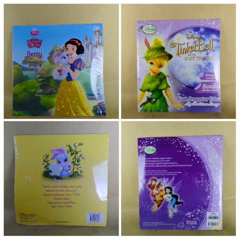 Disney TinkerBell and the Lost Treasure sleep conductor story - Berry ...