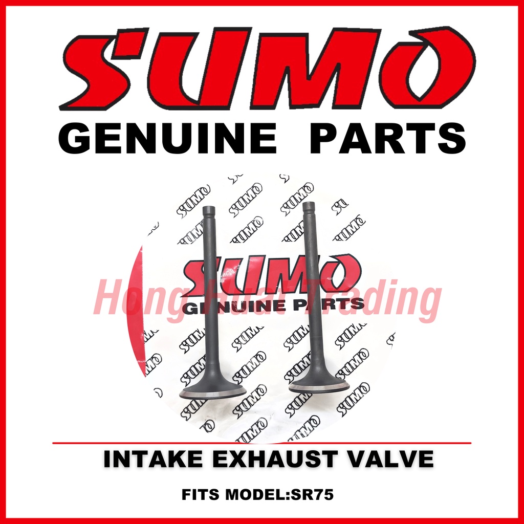 Sumo Rato SR75 SR75M 7.5 HP Intake Valve Exhaust Valve Marine Engine