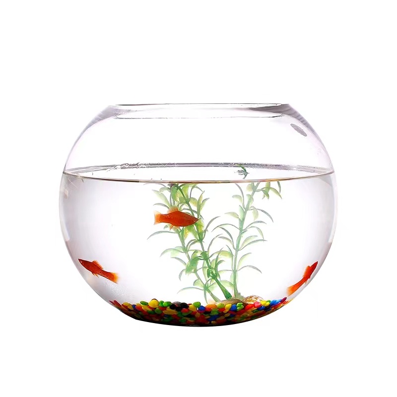 Clear Glass Fish bowl 10cm Shopee Philippines