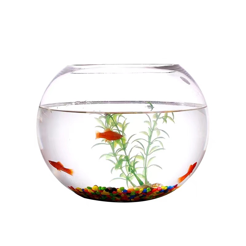 Clear Glass Fish bowl #10cm | Shopee Philippines