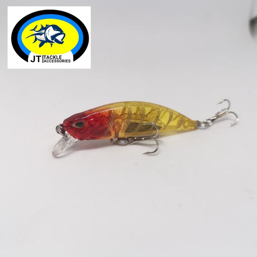 5g 50mm Replica Sinking Minnow Fishing Lure | Shopee Philippines