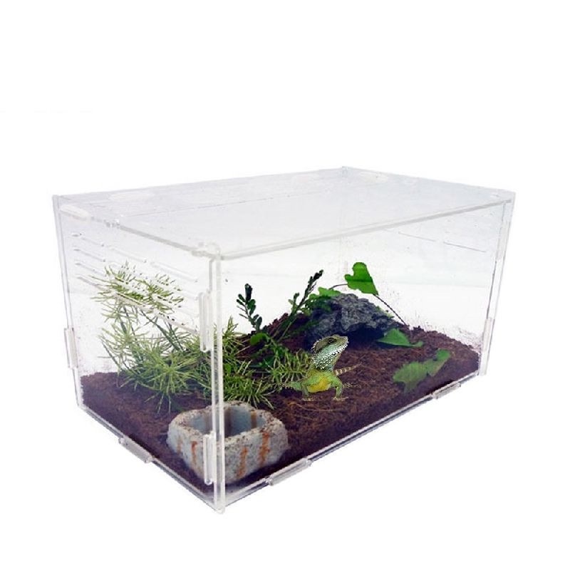 Transparent Acrylic Reptile Box for Spiders Tortoise Lizard Breeding ...