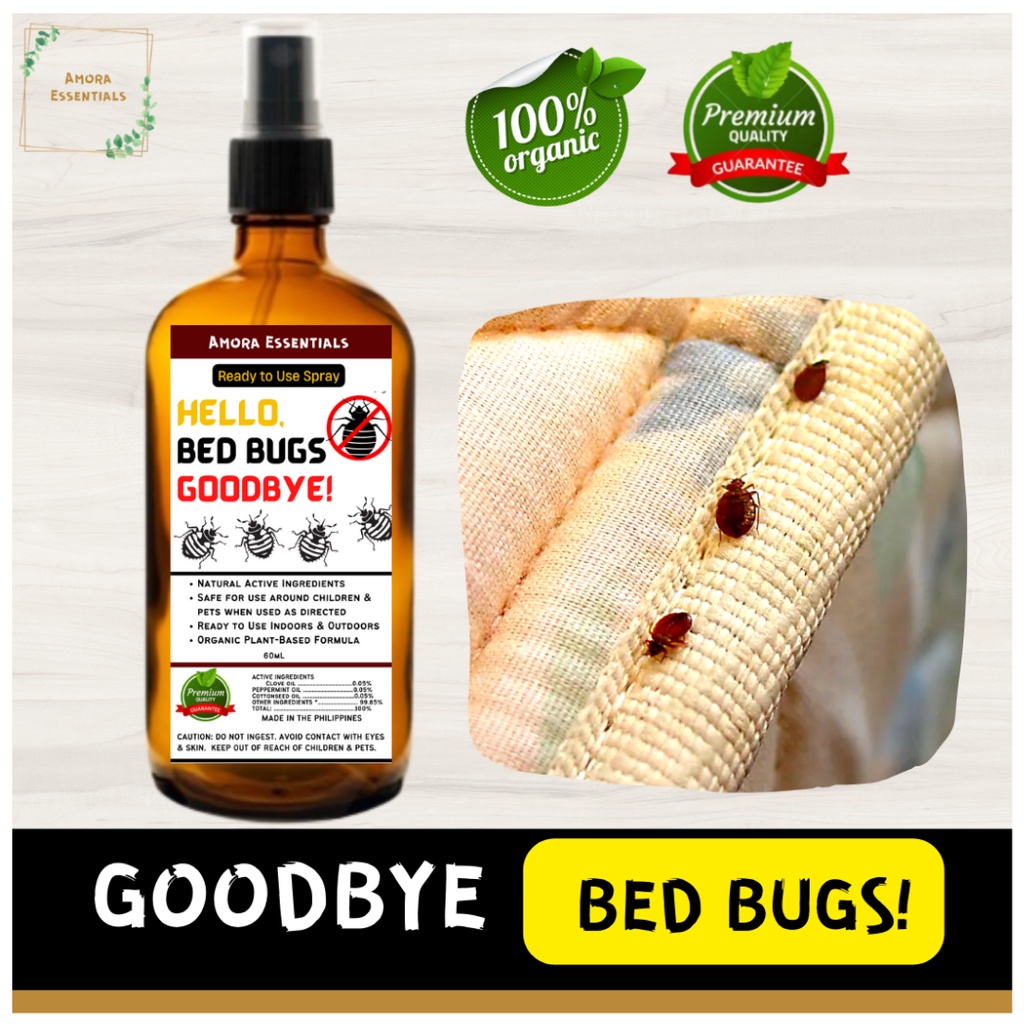 AMORA Essentials BED BUG Bed bugs spray solution, Bed bugs spray killer, Bed bugs solution, bed