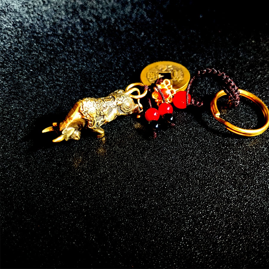 Unique Lucky Feng Shui Brass Keychains, Beautiful FiveRoad Buffalo