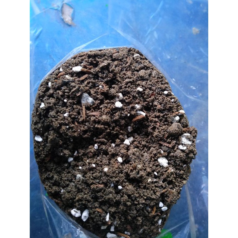 Potting mix for cactus and succulent | Shopee Philippines