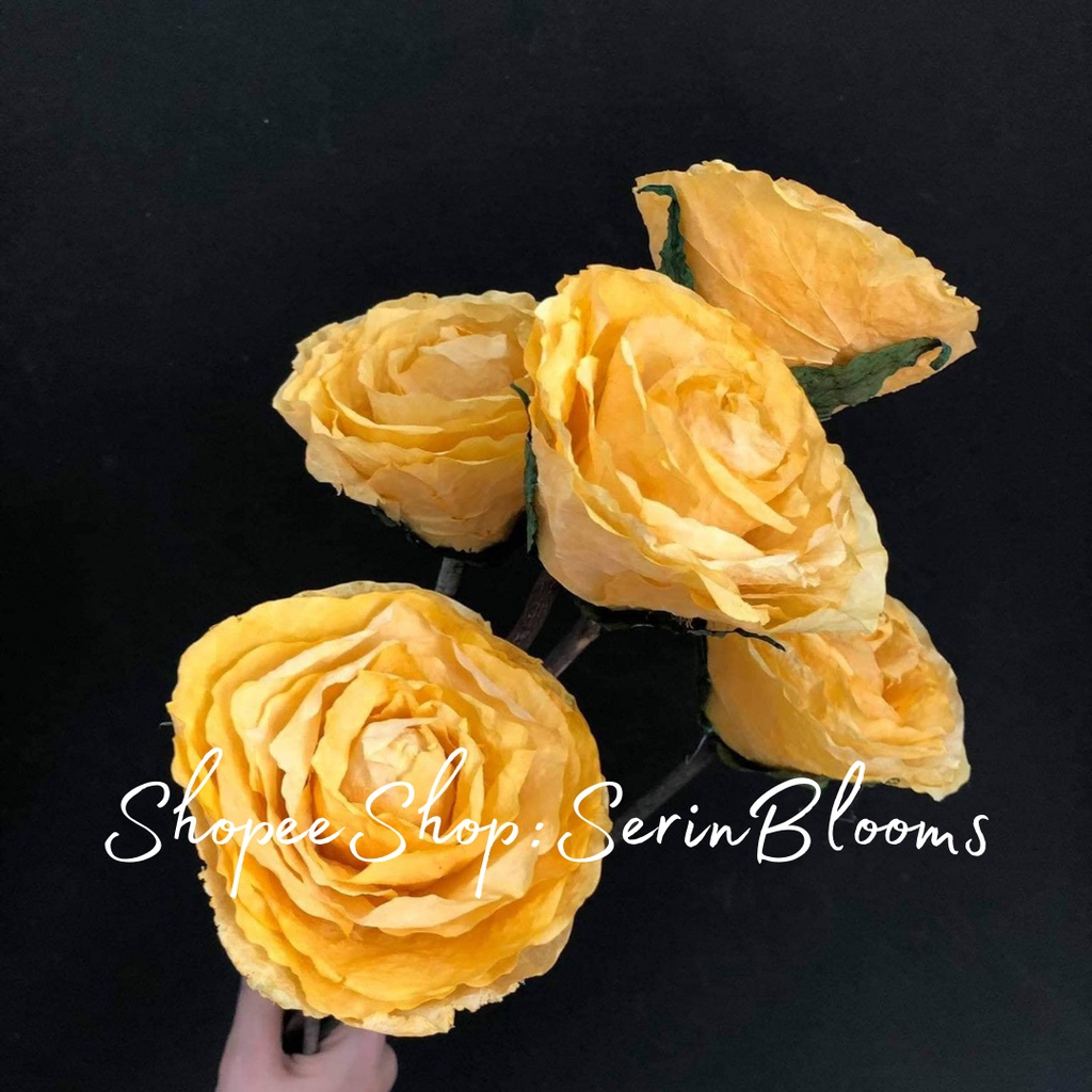 Fossilized Rose(1 stem only) | Shopee Philippines