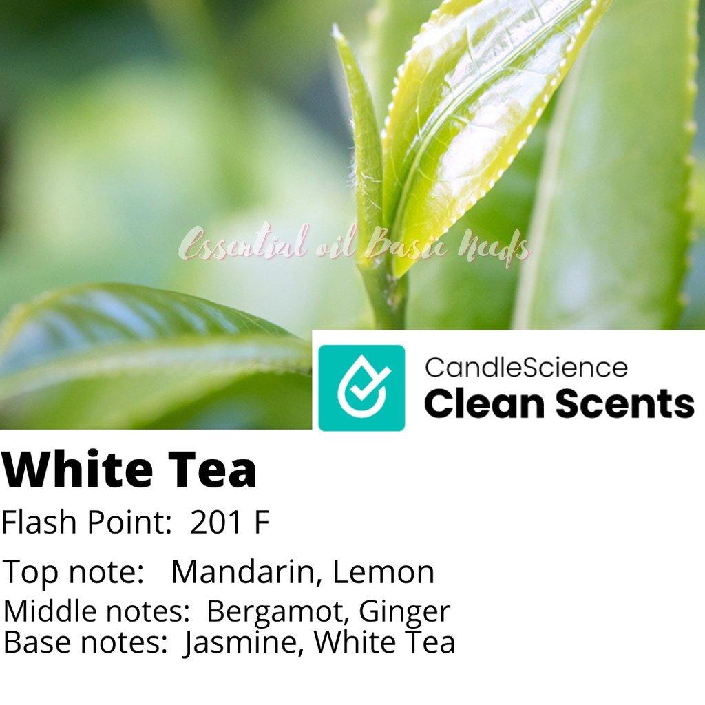 (S W) 30g Candlescience Fragrance Oil, Pure and High Grade Quality