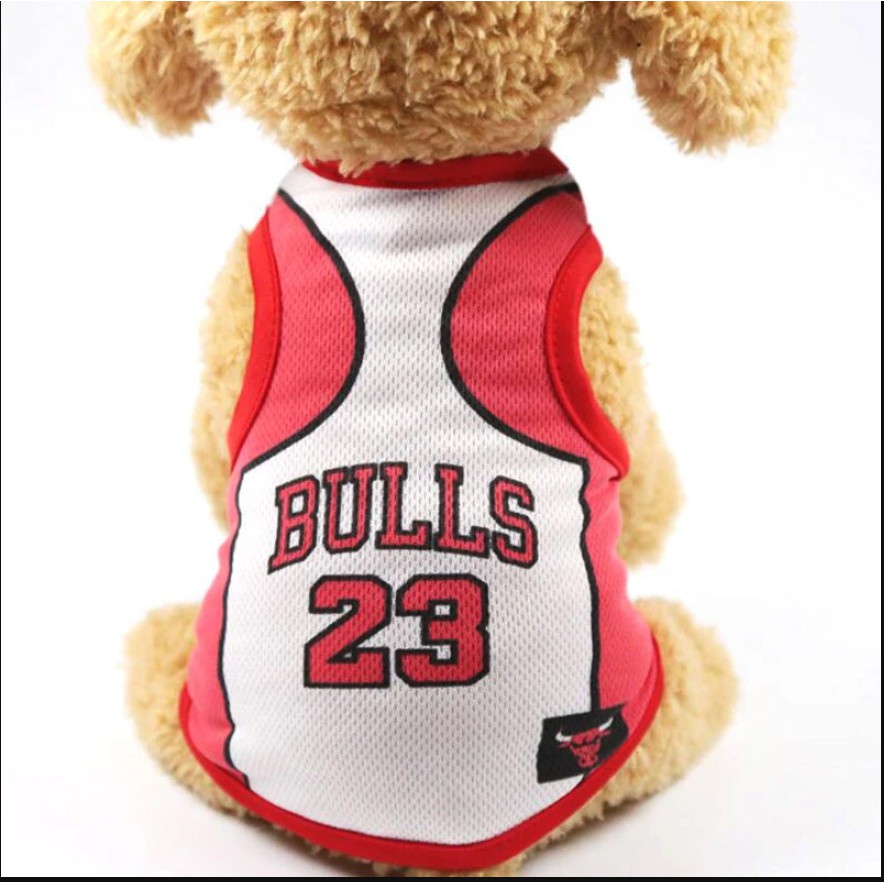 Bulls 2024 dog jersey