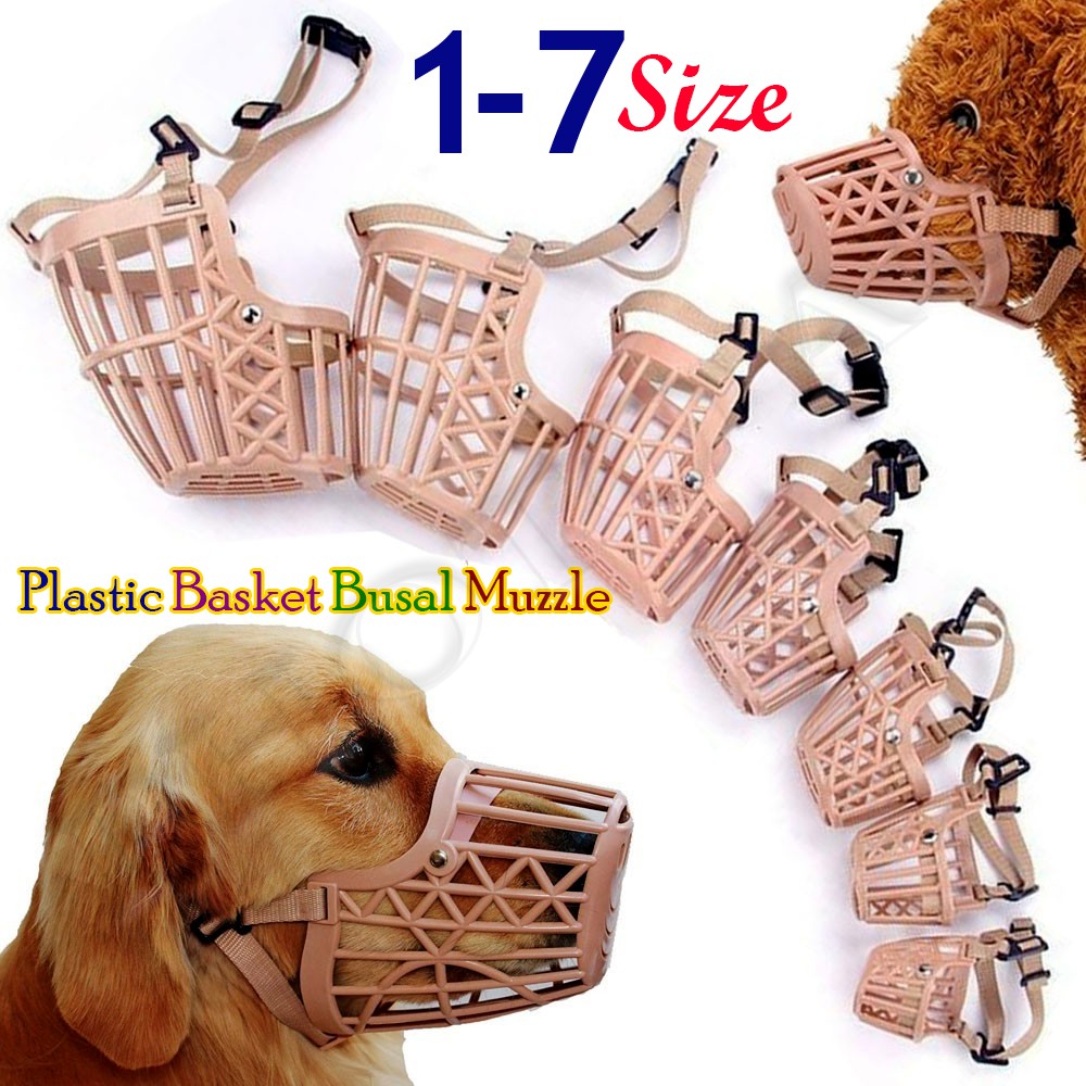 Plastic basket muzzles for small clearance dogs