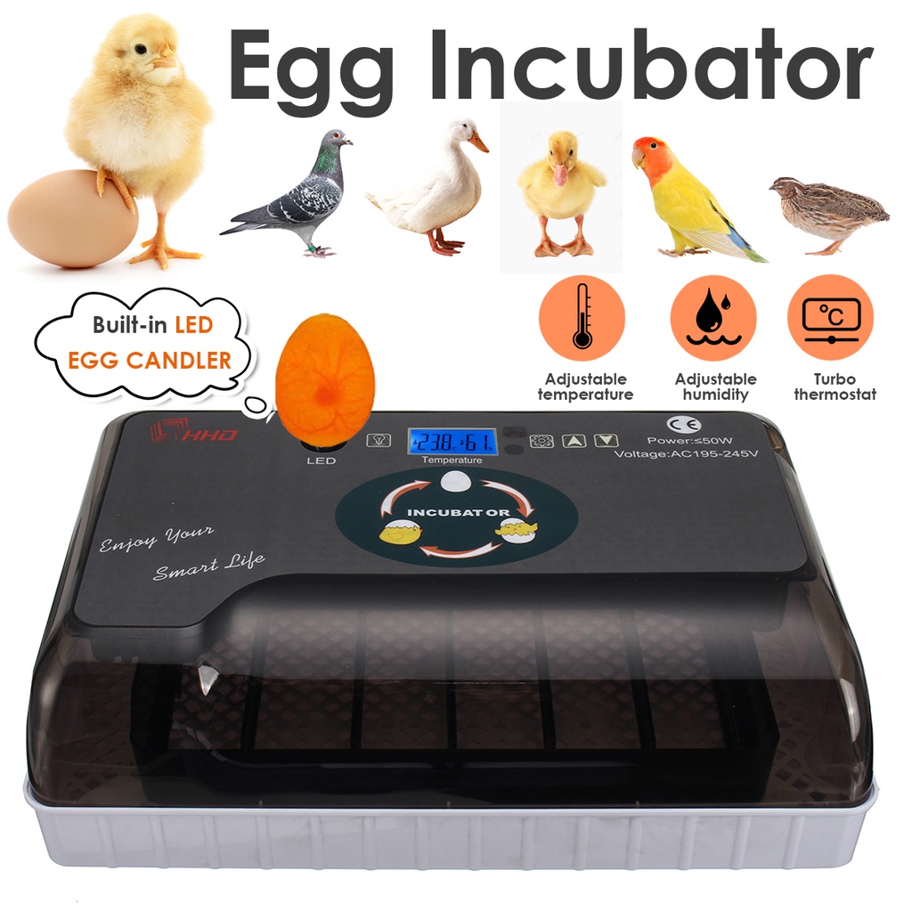 Large Automatic Incubator 20 Chick Egg Capacity Incuator Digital