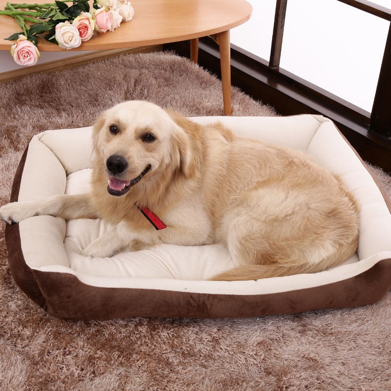 Dog hotsell bed shopee