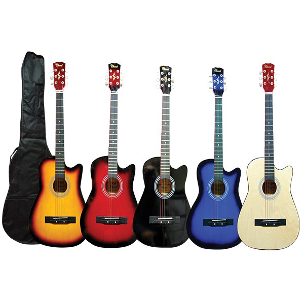 Chard acoustic on sale guitar price