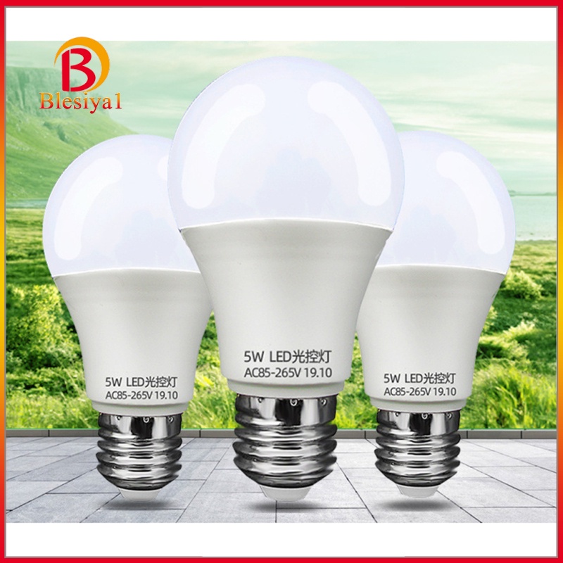 [Ship in 24h] Automatic Dusk Till Dawn Light Bulb E27 Decorative Night