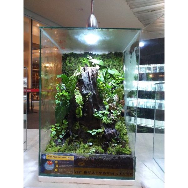 Terrarium Enclosures | Shopee Philippines