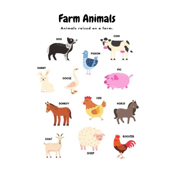 Educational Chart Laminated [Farm Animals] | Shopee Philippines