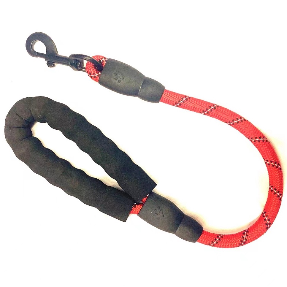 Highly Reflective Threads Strong and Dog Leash with Padded Handle for ...