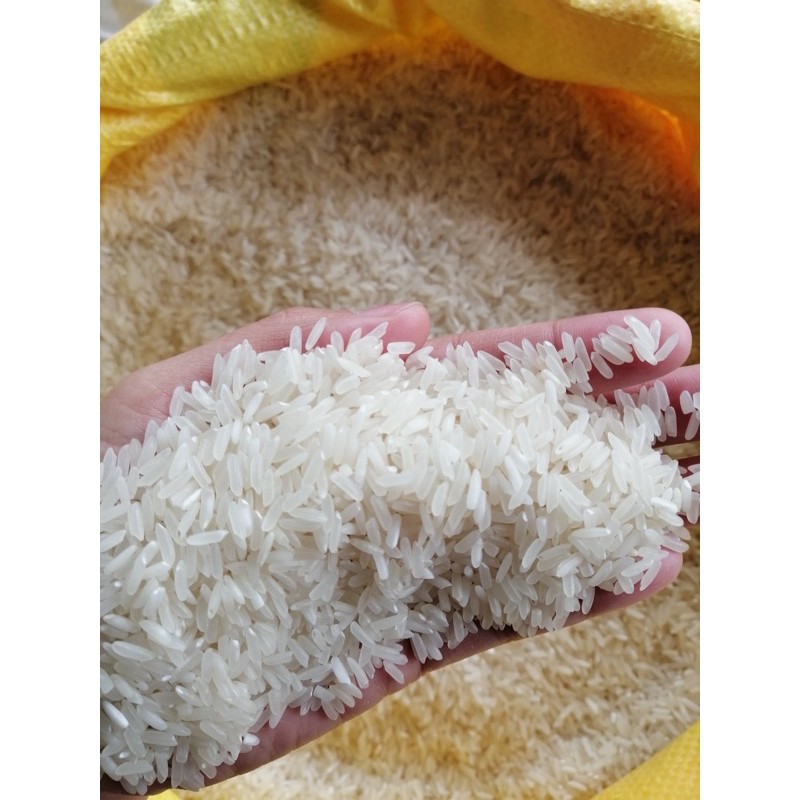 Whole Grain Rice 10kgs sack Shopee Philippines