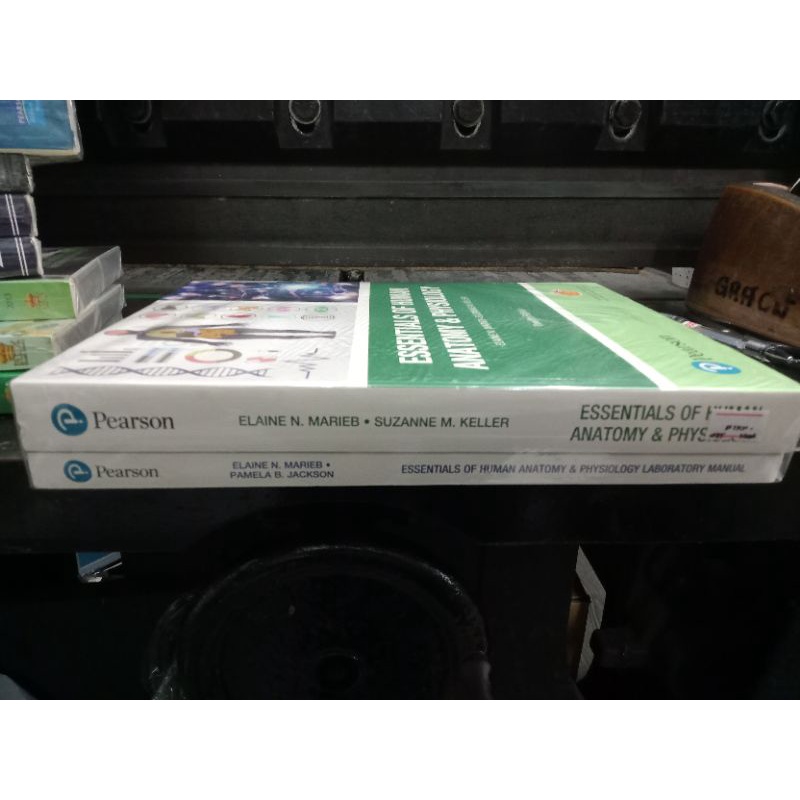 Essential of Human Anatomy & Physiology (ORIGINAL PO ITO) | Shopee ...