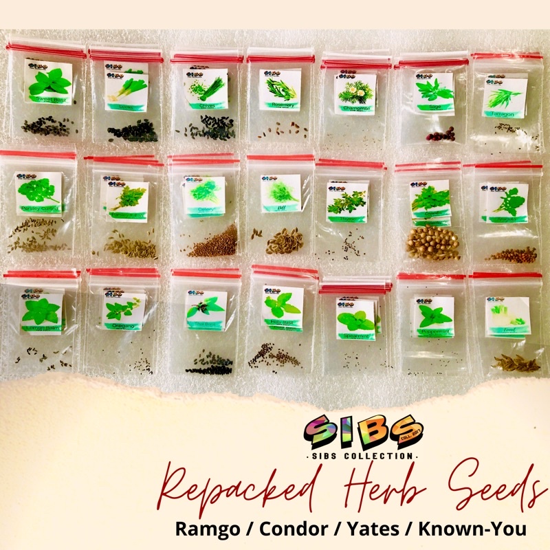 HERBS Plant Seeds (Basil, Thyme, Parsley, Celery, Chives, Leeks