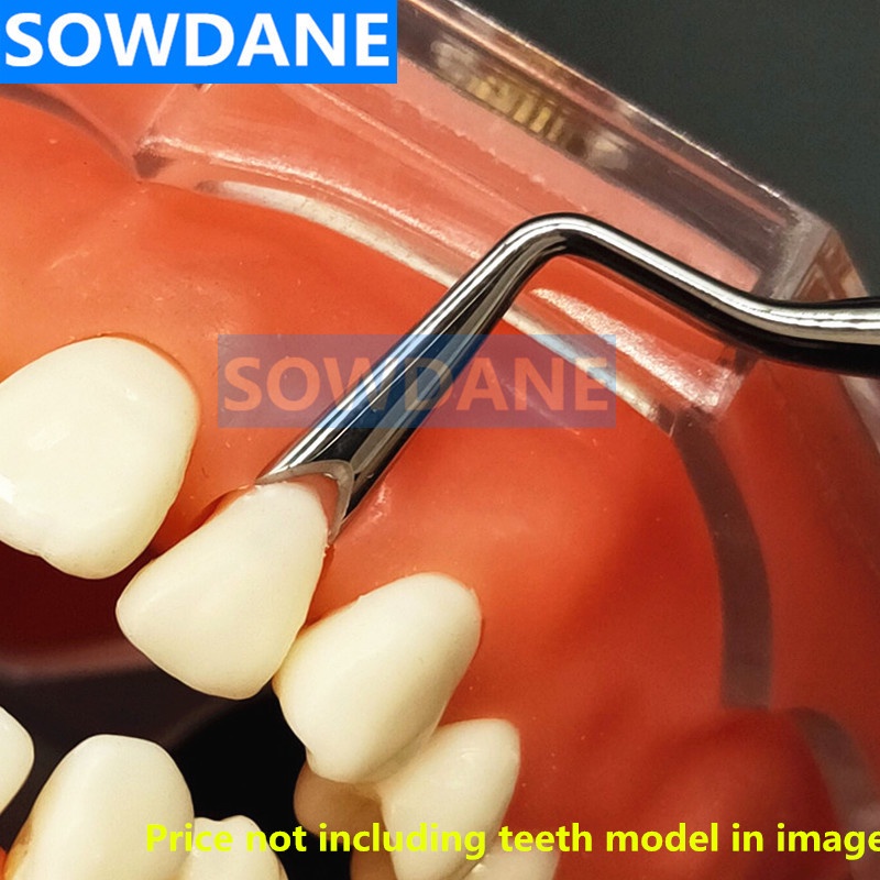 Dental Implant Gingival Retraction Gingival Retractor Dental Gum