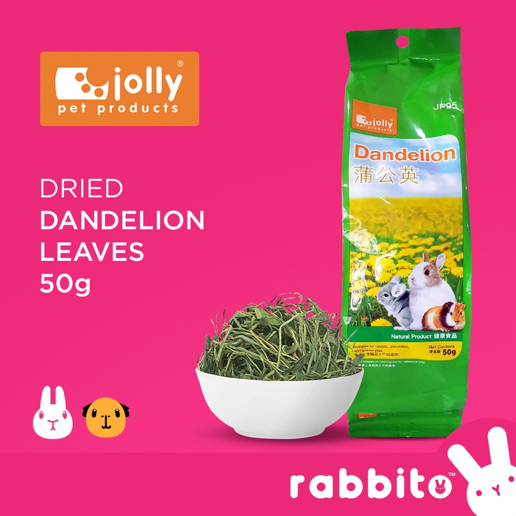 Jolly Dried Dandelion Leaves 50g Treats for rabbits guinea pigs and small animals Shopee Philippines