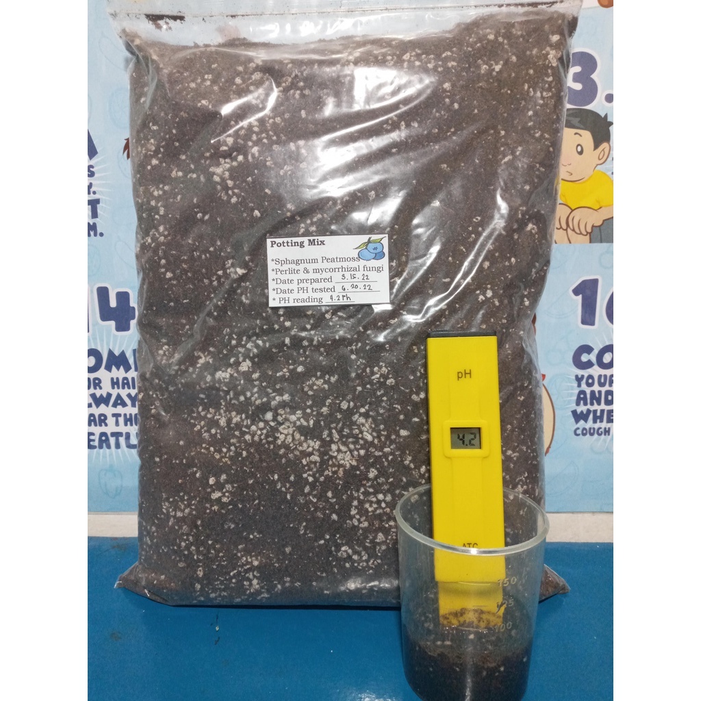 ACIDIC BLUEBERRY Potting Mix (5KG, 4.24.7PH Acidic Sphagnum Peat Moss) Shopee Philippines