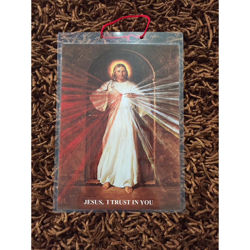 Divine Mercy Image Skemp Laminated Shopee Philippines