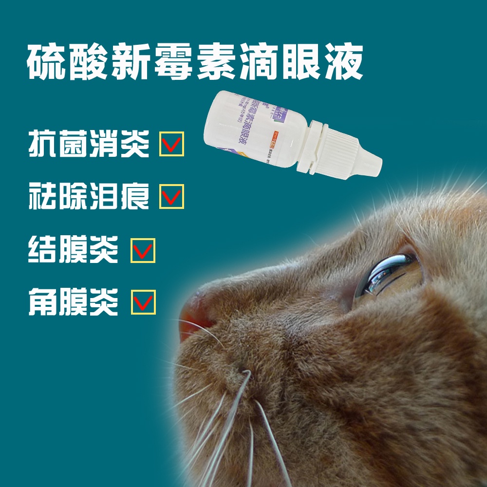 Pet neomycin eye drops dog cat keratoconjunctivitis eyes red and
