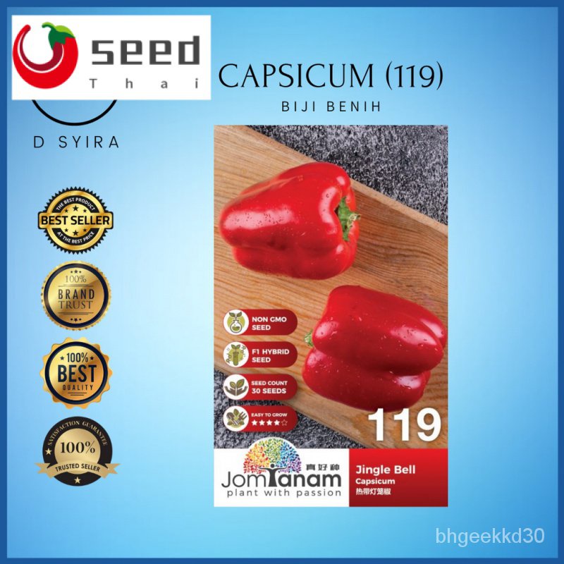 Jom Tanam Jingle Bell Capsicum 119 30 Seed Lada Loceng Bra Apple